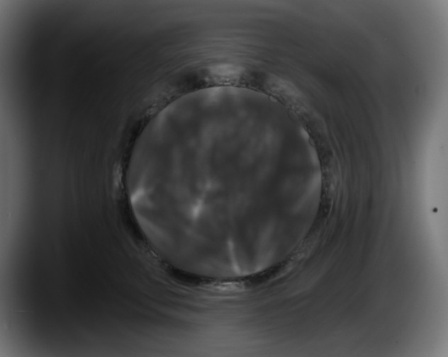 X0000087530711200705251659