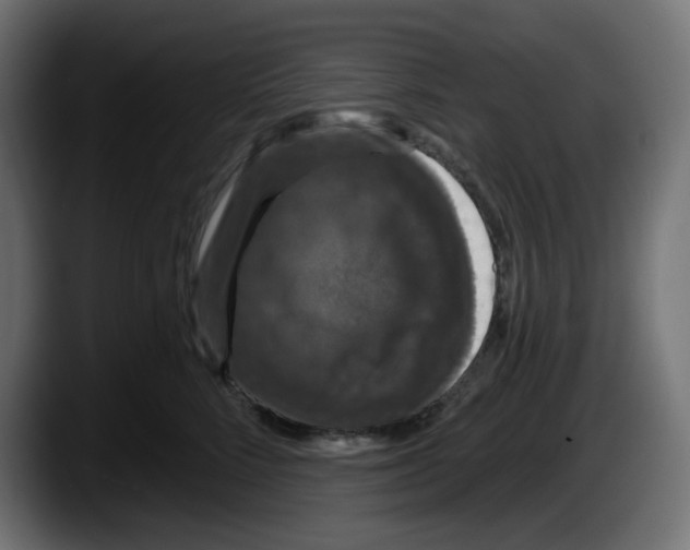 X0000087530712200705251659