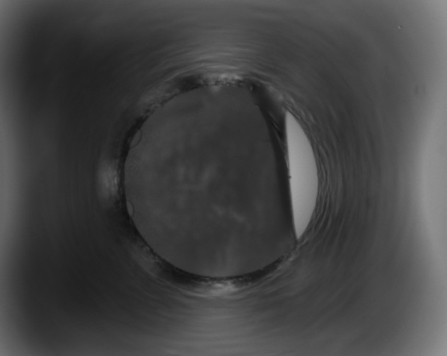 X0000087530715200705251659