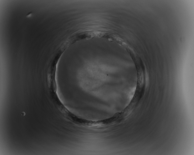 X0000087530716200705251659