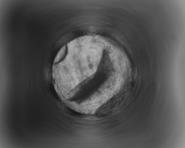 X0000087530719200705251659