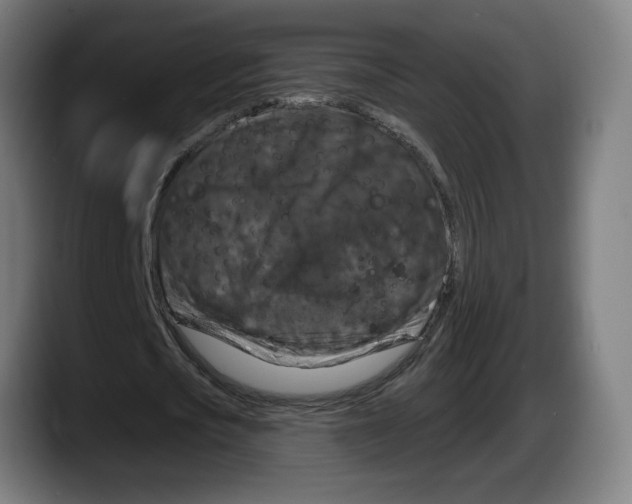 X0000087530721200705251659