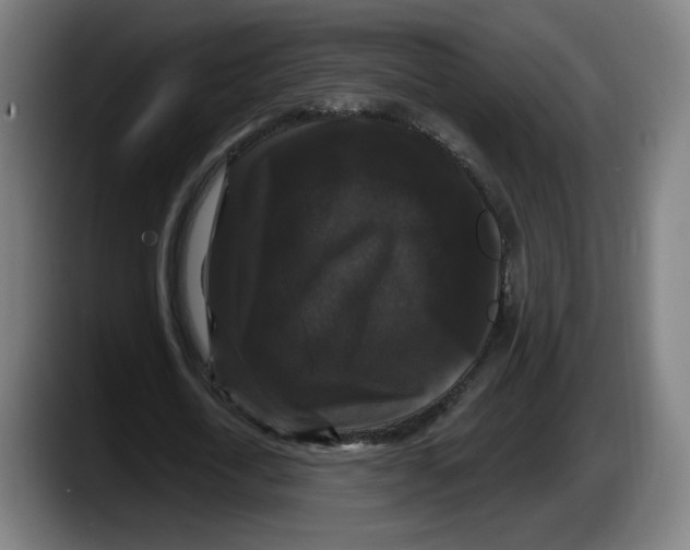 X0000087530722200705251659