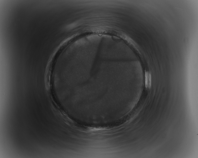 X0000087530723200705251659