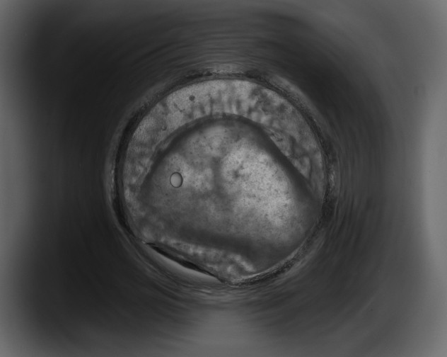 X0000087530725200705251659