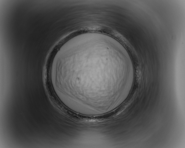 X0000087530726200705251659