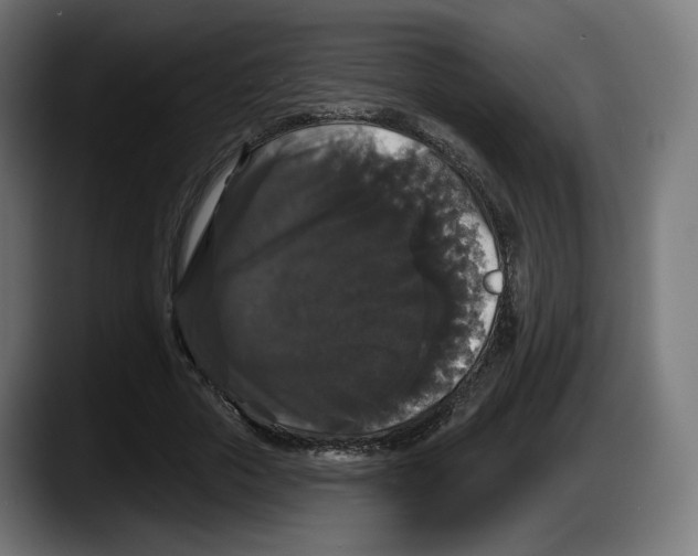 X0000087530729200705251659