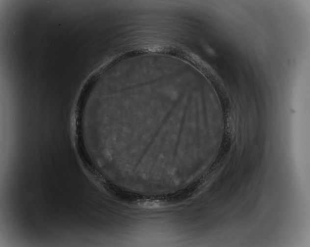 X0000087530730200705251659