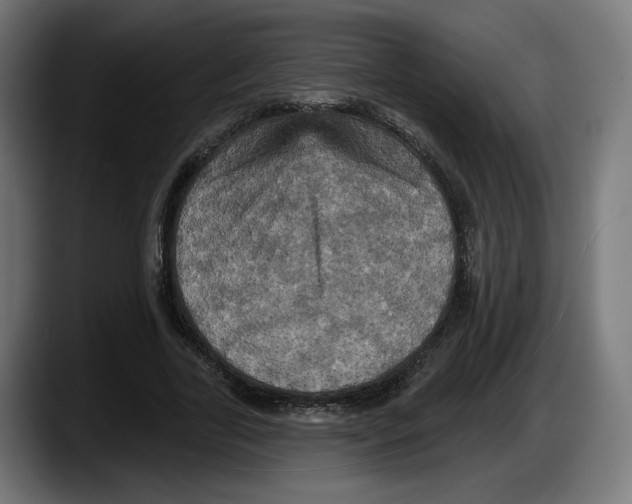 X0000087530731200705251659