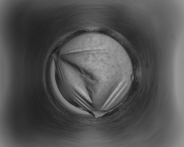 X0000087530732200705251659