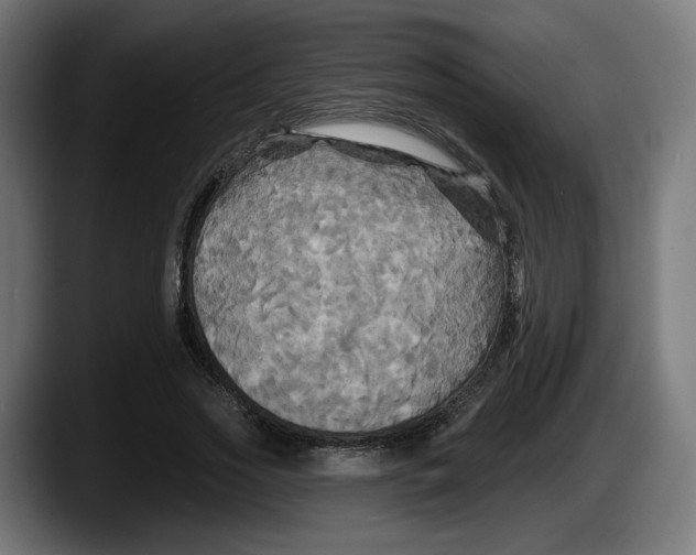 X0000087530733200705251659