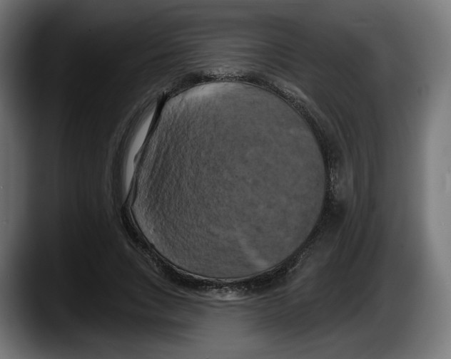 X0000087530735200705251659