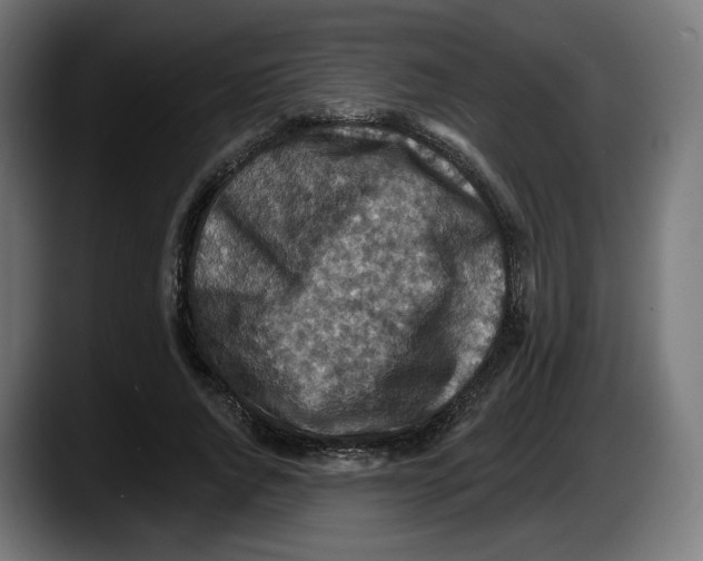X0000087530736200705251659