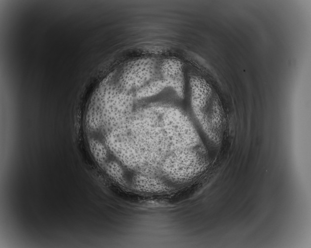 X0000087530737200705251659