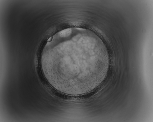 X0000087530738200705251659