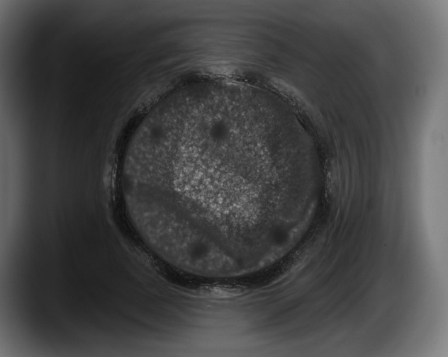 X0000087530739200705251659