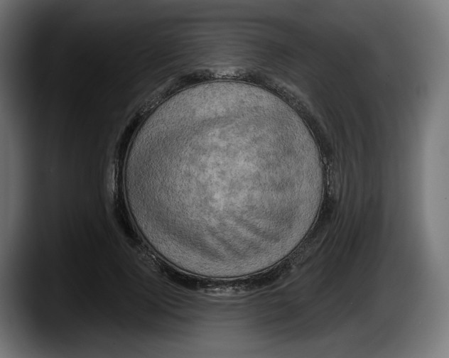 X0000087530740200705251659