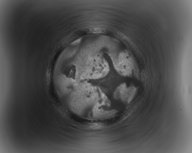 X0000087530741200705251659