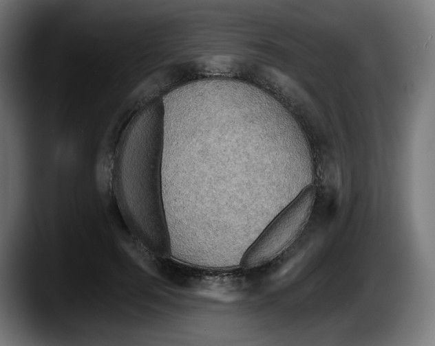X0000087530744200705251659