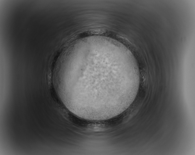 X0000087530745200705251659
