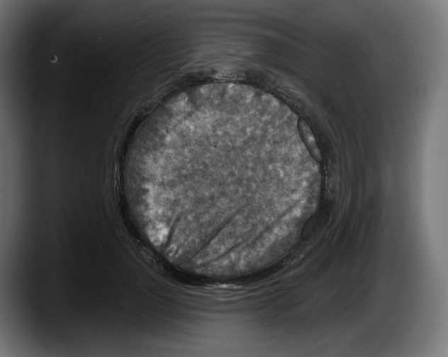 X0000087530748200705251659