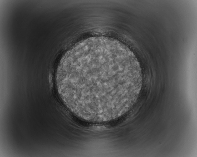 X0000087530749200705251659