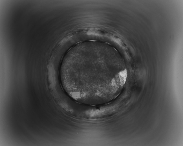 X0000087530750200705251659