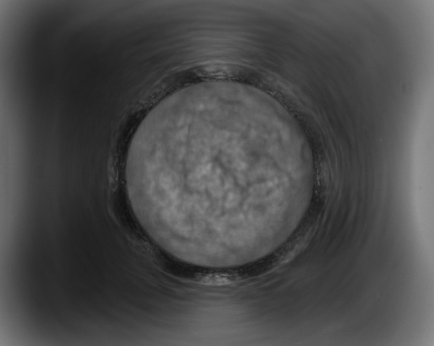 X0000087530751200705251659