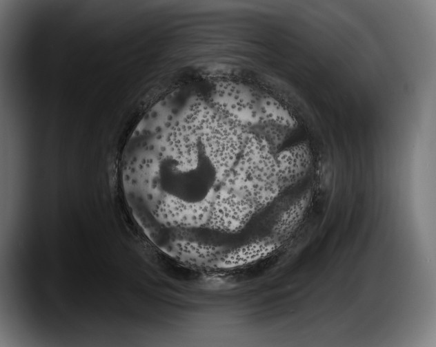 X0000087530753200705251659