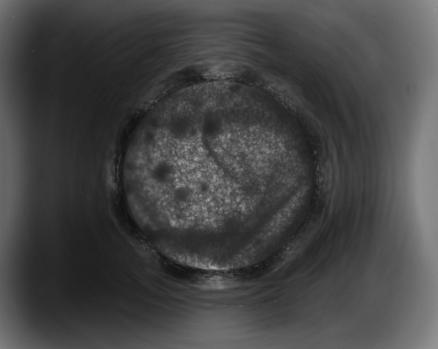 X0000087530755200705251659