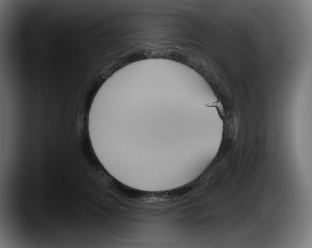 X0000087530756200705251659
