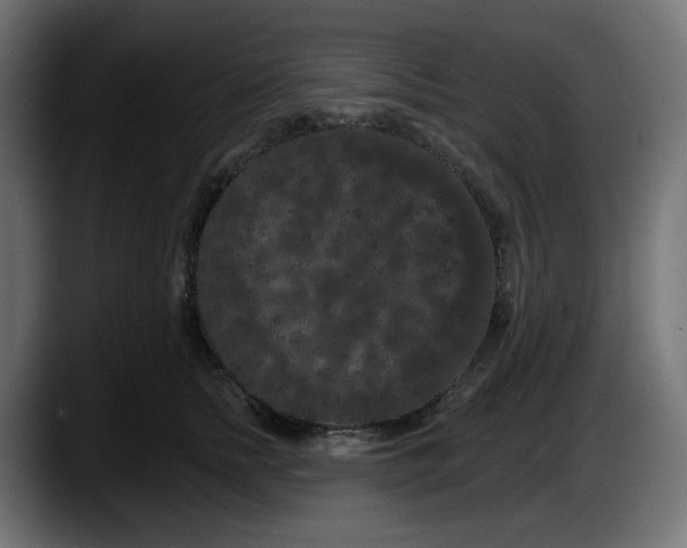 X0000087530758200705251659