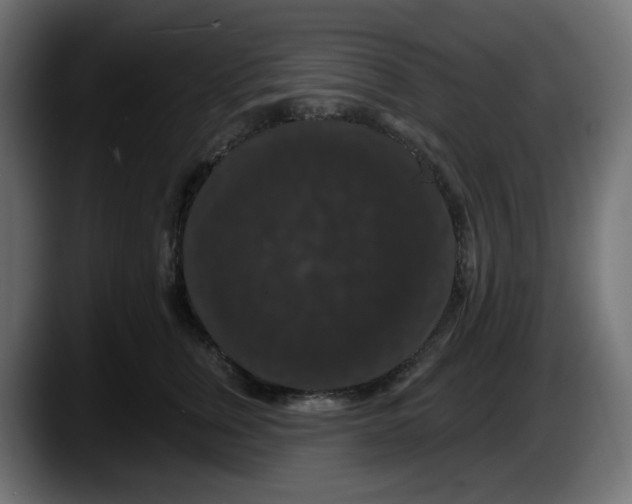 X0000087530759200705251659