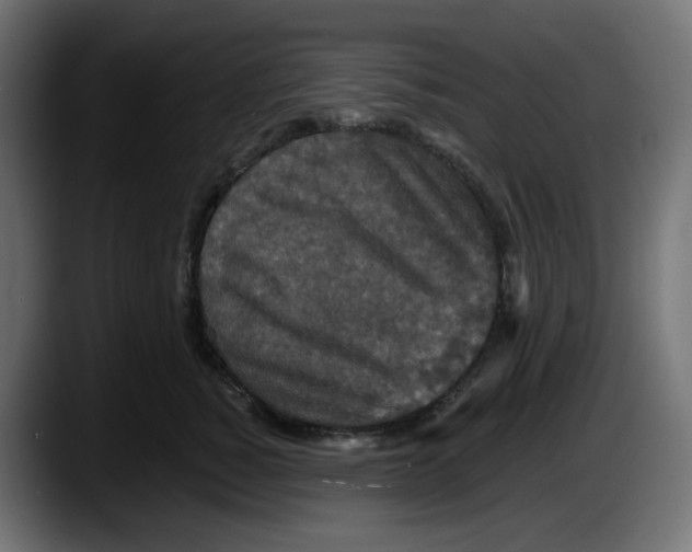 X0000087530760200705251659