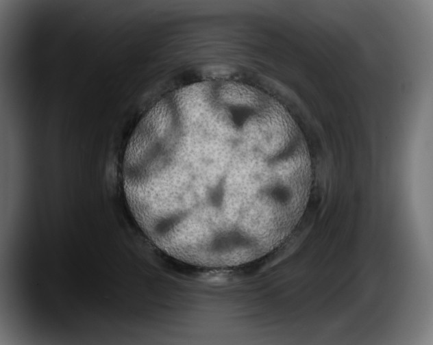 X0000087530761200705251659