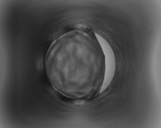X0000087530762200705251659