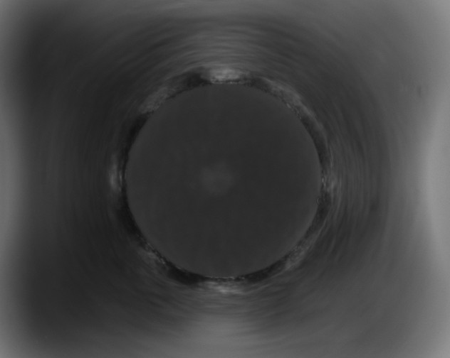 X0000087530763200705251659