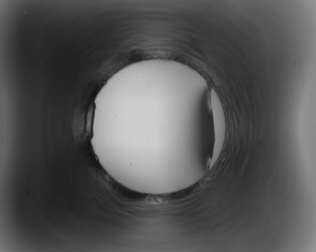 X0000087530764200705251659