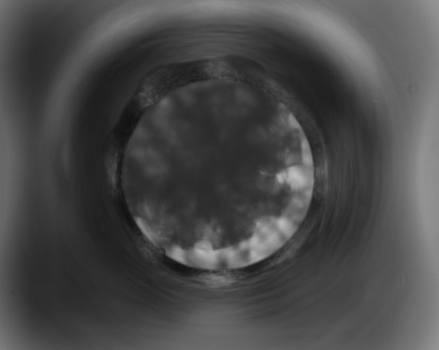 X0000087530765200705251659