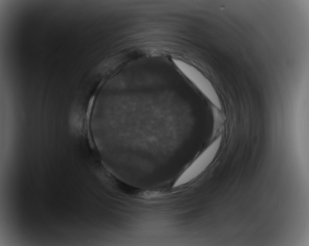 X0000087530766200705251659