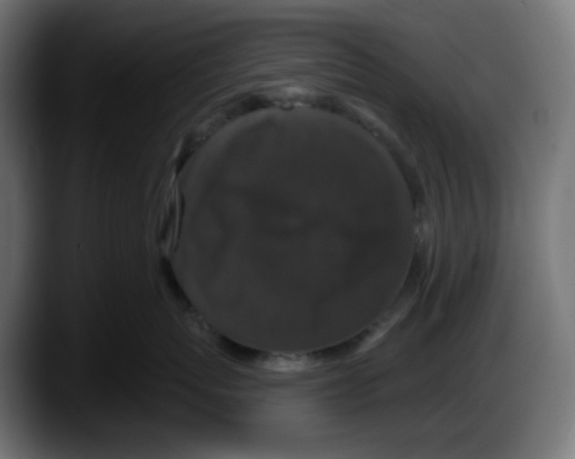 X0000087530767200705251659