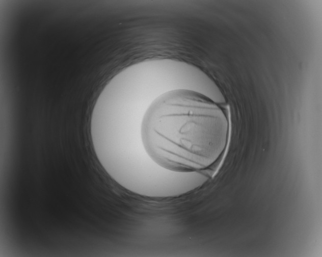 X0000087530768200705251659