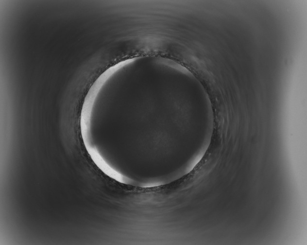X0000087530769200705251659