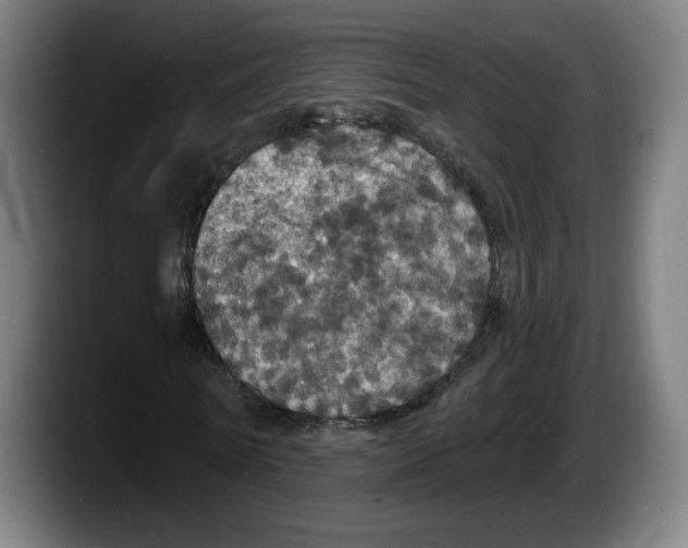 X0000087530770200705251659