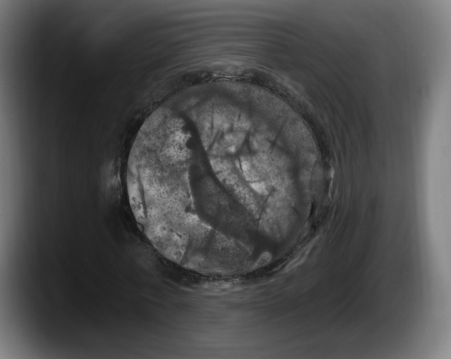 X0000087530771200705251659
