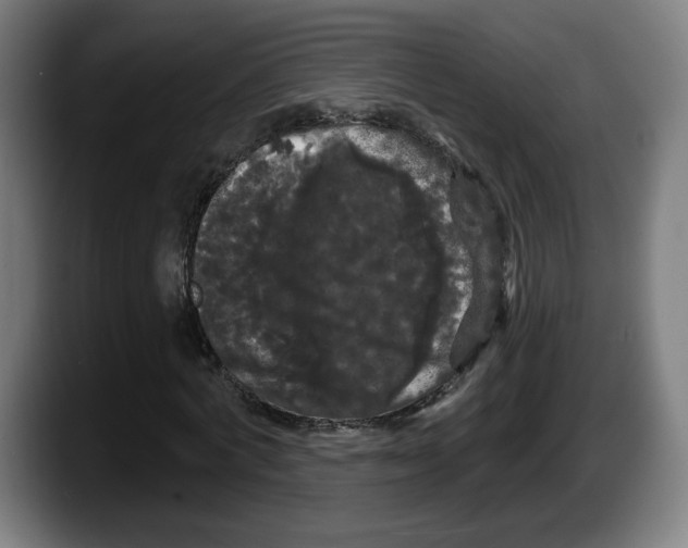 X0000087530772200705251659