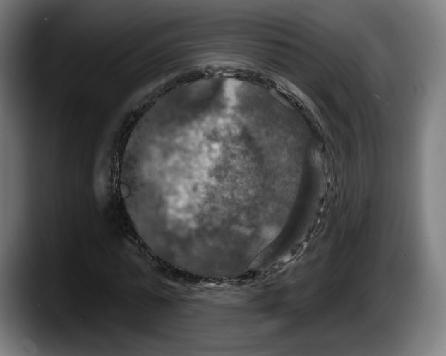 X0000087530775200705251658
