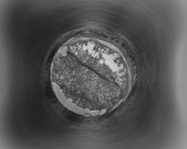 X0000087530776200705251658