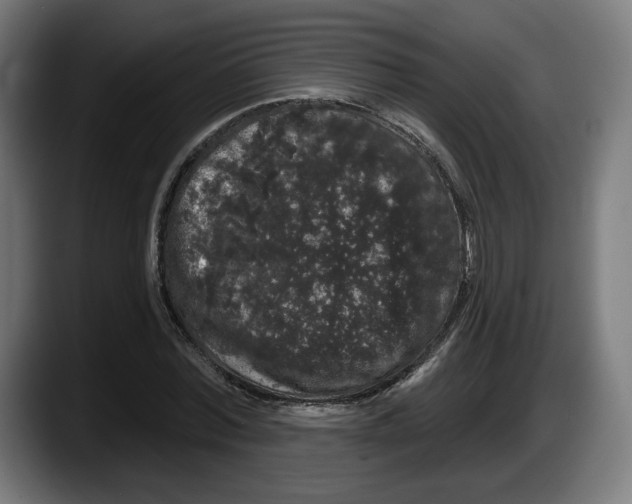X0000087530780200705251658
