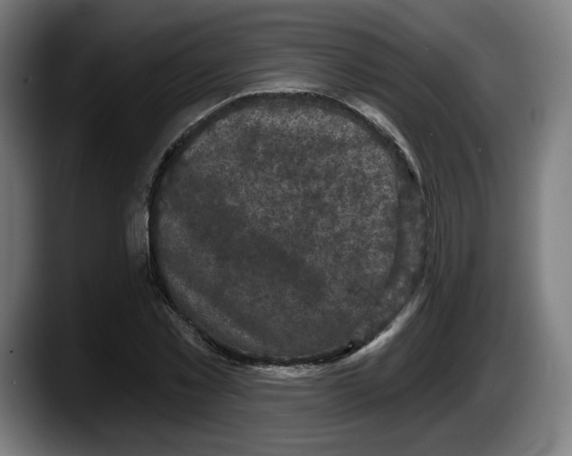 X0000087530781200705251658